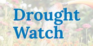 Picture of flowers and a watering can with the words Drought Watch