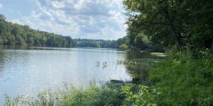 A photo of the Occoquan Reservoir with trees and plants on the shoreline.