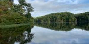picture of the Occoquan Reservoir water and shore with trees