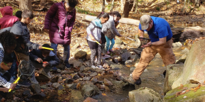 Photo of students and teacher at a stream checking the quality of the water.