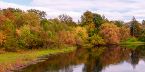 October is Riparian Buffer Month!