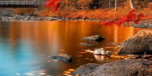 Straight From the Tap (Fall 2018)