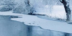 Straight From the Tap (Winter 2019)