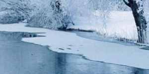 Stream with ice and shoreline with snow