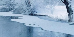 A photo of a stream and trees with snow and ice in the stream