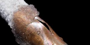 Winter Water Tips