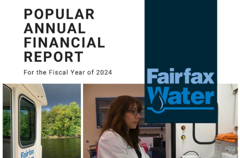Popular Annual Financial Report