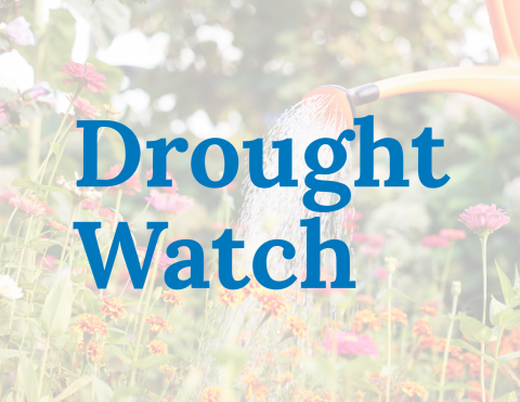 Picture of flowers and a watering can with the words Drought Watch