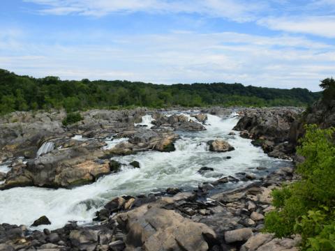 a photo of Great Falls on the Potomac. Water flowing through rocks. 