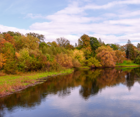 October is Riparian Buffer Month!