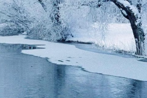 A photo of a stream and trees with snow and ice in the stream